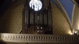 1867 - 2017, un bel anniversaire pour l'Orgue de Notre-Dame-de-l'Assomption à Lavelanet