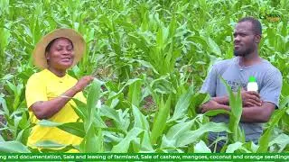 Revolutionizing Farming | Farmers Yields & Harvest Doubled After Applying Roko Nano Urea Fertiliser