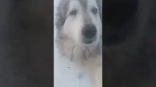 Экономим салому ложу по горсточки. 