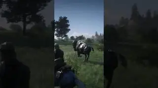 The Perfect Bison | Red Dead Redemption 2 | PS4