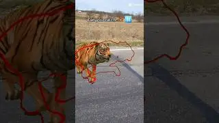 can you stop it at the right time??#shorts #lion #viral #capcut #for you #fyp #short #pause #catch