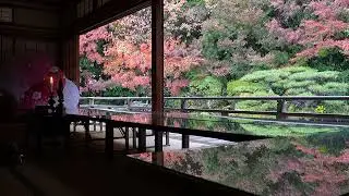 令和7年11月25日　別時念仏会　浄土宗　廣度山　長建寺