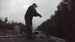 Endemic fishing