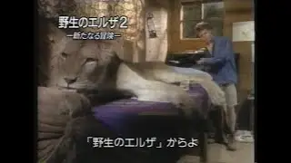 映画「野生のエルザ２/新たなる冒険」(1996:劇場未公開) 日本版予告編 BORN FREE: A NEW ADVENTURE Japanese Trailer