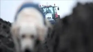 Ploegen met een Rumptstad 3-schaar ploeg