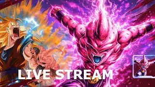 ULTRA KID BUU PLAT EQUIP LIVE STREAM Dragon Ball Legends