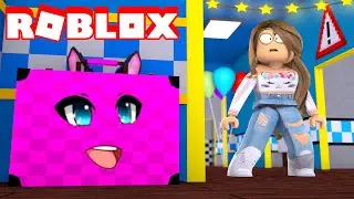 Roblox Hide And Seek NOOB VS PRO