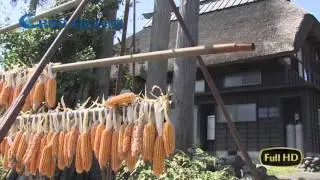 【HD】Oginoshima & Kadoide ~Thatched Village~ Takayanagi, Niigata | 荻ノ島・門出 ~かやぶきの里~ 新潟県柏崎市高柳