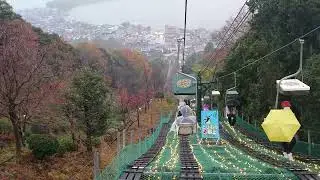 2025年關西賞楓行