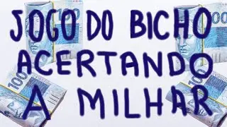 COMO Saber a MILHAR do DIA
