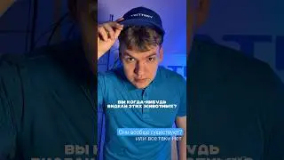 Обитают они примерно где-то на рабочем месте 🧐 Предлагайте свои варианты э 👇#техника #shorts