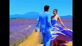 Ale ale song boys movie whatsApp status