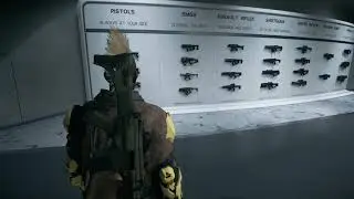 Visual List of all FPS Guns in Star Citizen Organized by Type