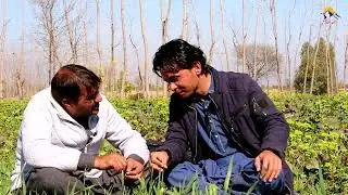 Pashto Poetry Wadn Utmankhail 2023,Pashto Best Poetry Wadan Utmankhail 2023,Wadan Poetry 2023,