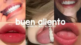 10 tips SIMPLES para tener un aliento fresco todo el d&iacute;a 🫦✨ *adi&oacute;s al mal aliento por siempre*