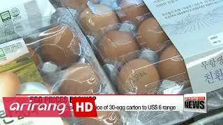 Chicken prices soar by 148% amid bird flu outbreak to US$ 1.90/kg