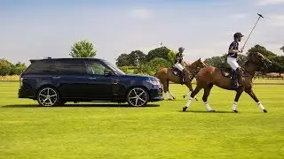 The New Overfinch