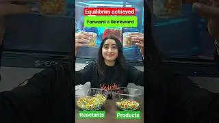Chemical Equilibrium Demonstration 😱😍 #neet2024 #experiment #neet #neetmotivation #beattheneet