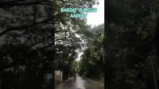 #barsat jungle aareay#beautiful#protectedforest#nature#travel#mumbai#hills#475/231125/16:30