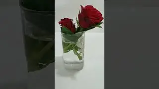 surprise idea for your partner 🌸🥰# surprise planning at home # Date ideas #couple ❤️