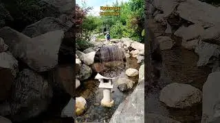 Японский сад в парке Галицкого. Краснодар. Japanese garden in Galitsky Park. Krasnodar.