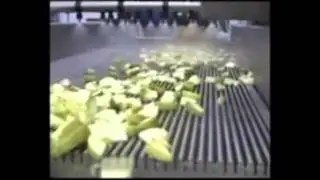 Apple processing line - Washing, slicing, packaging