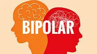 Bipolarit&auml;t als sozio&ouml;konomisches Problem