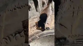 MRF tyer repair process with silk thread.#trending #tyer #repairing #viralvideo #art
