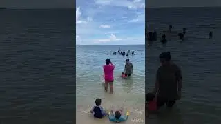 The Rock Island Sandingan Loon, Bohol #shortvideo #youtubeshorts #reels #shorts #islands #bohol