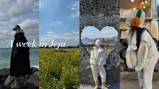 겨울 제주, 한 바퀴 야무지게 도는 법 ✈️: 코스 그대로 따라하면 절대 후회안함 | 5박 6일 | (동문시장/오션뷰호텔/애월/새별오름/유채꽃/고기국수/흑돼지) #제주여행
