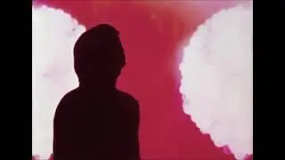 Lesley Price - Every Yellow Fades to Blue (Official Music Video)