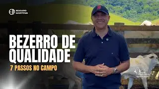 7 passos essenciais para produzir um BEZERRO DE QUALIDADE - EDGARD MARTINS | #Pecuária #Agro