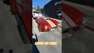 Copper Top Shelby Cobra 🐍