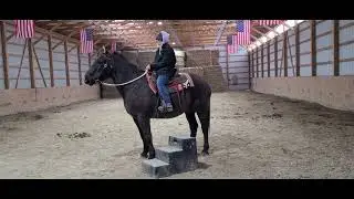 Ranger 