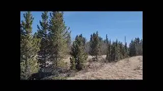 395 Wild Rye Rd, Fairplay, CO Lot For Sale