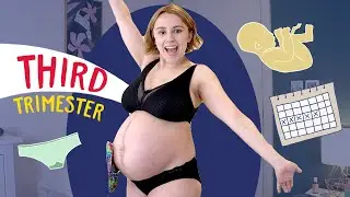 Pregnancy Tiredness, Baby Growth Scans and Making a Birth Plan!