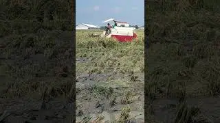 Musim panen 2024 | Kombi Sawah BIMO 102