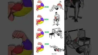 full biceps home workout plan 💪#workout #shoulder #chest #sixpack #back #legs #triceps