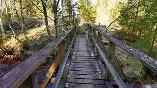 Hedströmmen