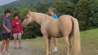 Friends, horses in Virginia, summer senior trip 2023