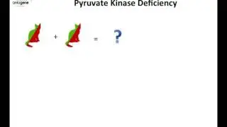 Pyruvate Kinase Deficiency - PKDef - ANTAGENE