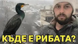 ТРАГЕДИЯТА на РЕКА ЯНТРА! ЗАЩО НЯМА РИБА във ВЕЛИКО ТЪРНОВО?