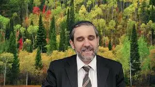 Притворился инвалидом и забрал деньги - Pretended to be disabled and took the money, Rabbi Tabibov