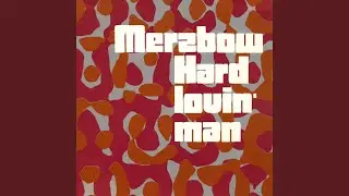 Hard Lovin' Man