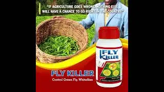 FLY KILLER--Bio Insecticides--BY ASC-RAJKOT-GUJARAT