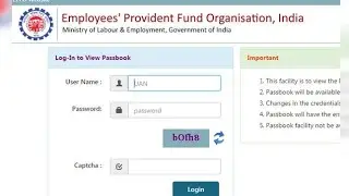 How to File PF Return | Live PF Return filling | PF ki return kaise file kren