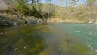 Great Wash Shark near Dougan Falls, Washington