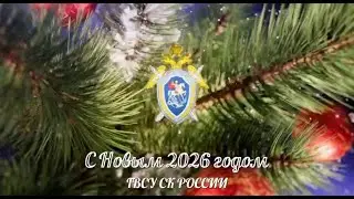 Сотрудники военных следственных органов СК России провели личный прием участников СВО