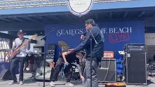 Somehow unseen at Sealegs on the beach