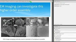 Understanding the biological machinery by cryogenic TEM imaging and structure determination